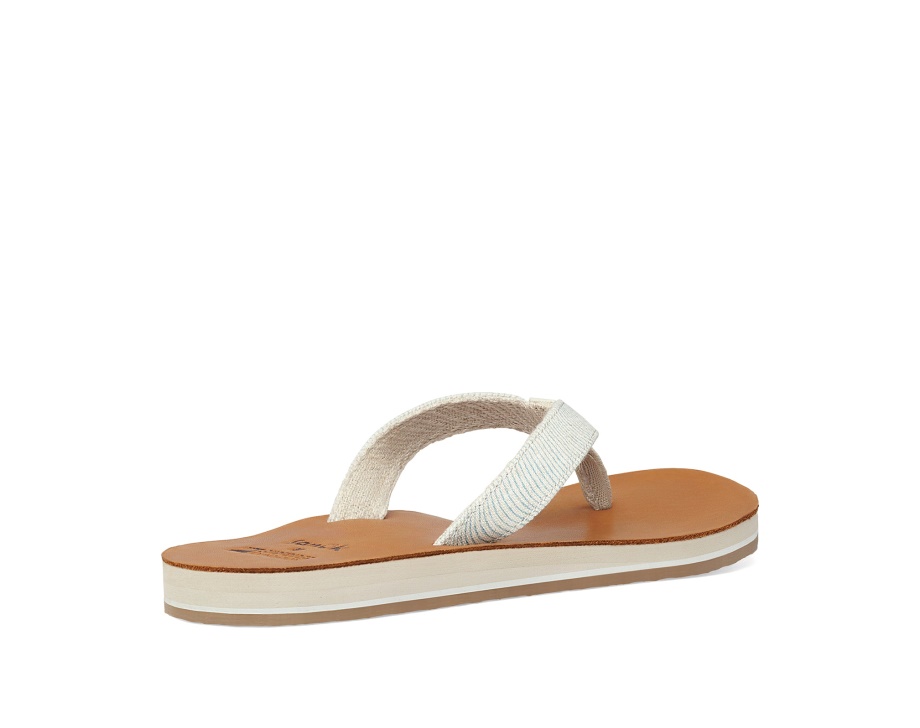 サヌーク W ハッピー プレーサー セント サーフライダー アクア ウェーブ