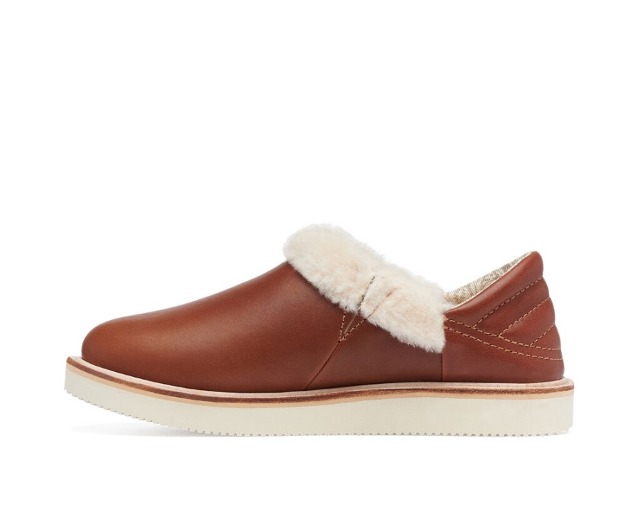 サヌークコージーバイブローSM×サンクスデッドコニャック