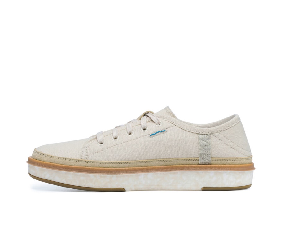 サヌーク ノパル サステナソール 未染色