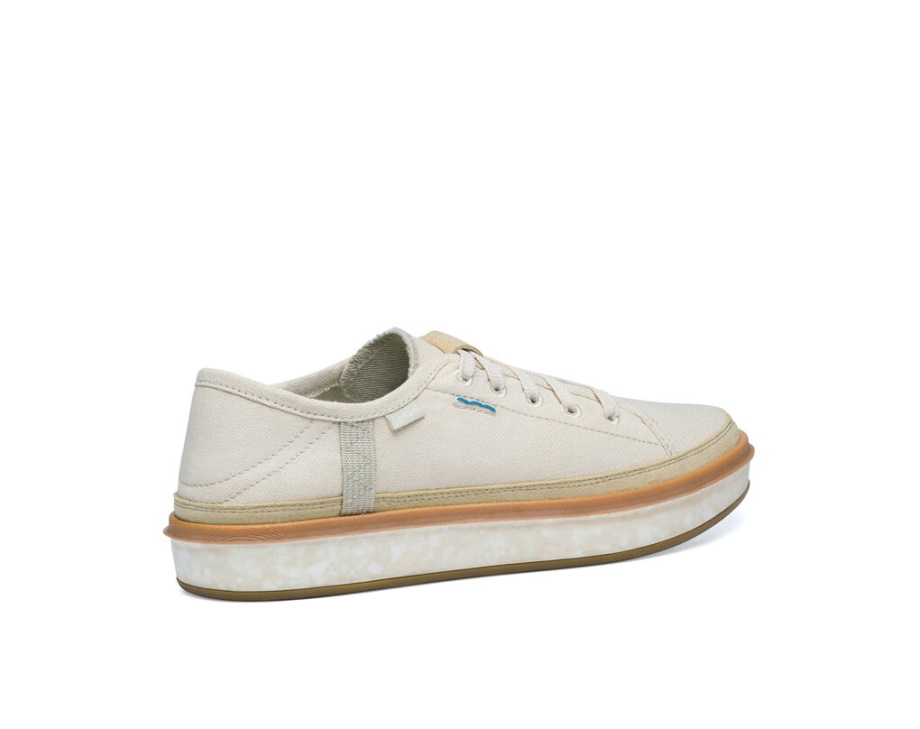 サヌーク ノパル サステナソール 未染色