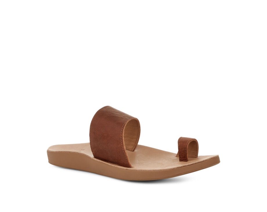 サヌーク コズミック カリプソ ブラウン