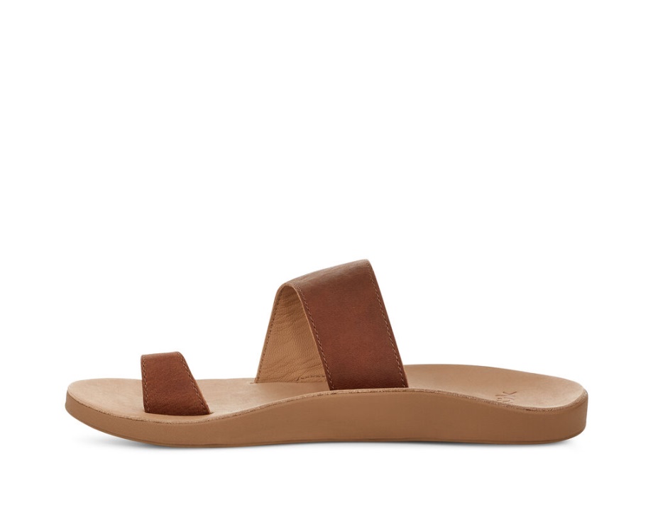 サヌーク コズミック カリプソ ブラウン