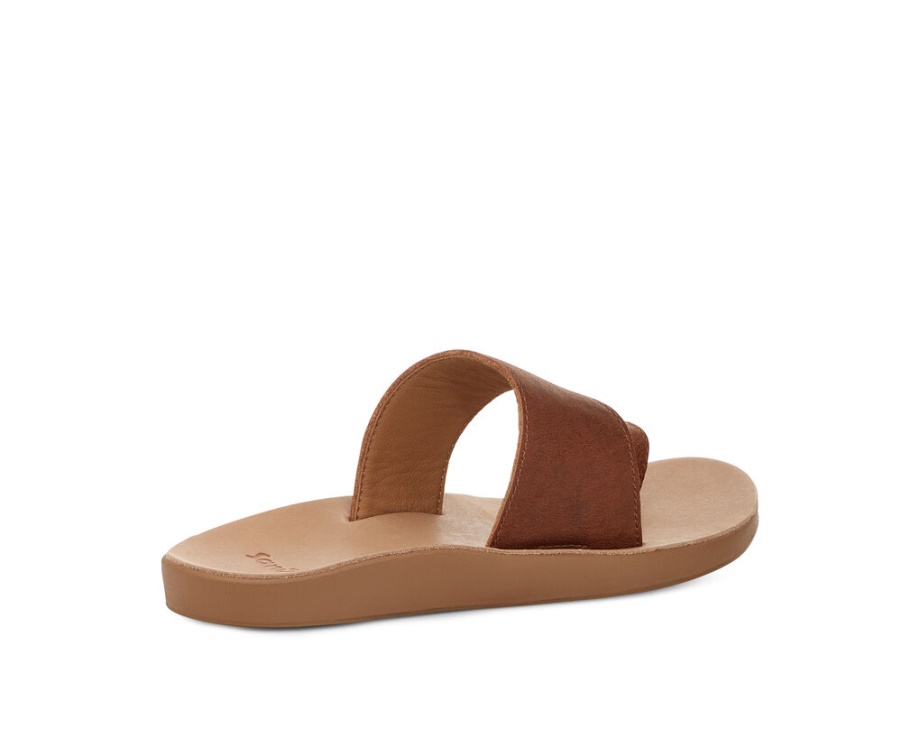 サヌーク コズミック カリプソ ブラウン