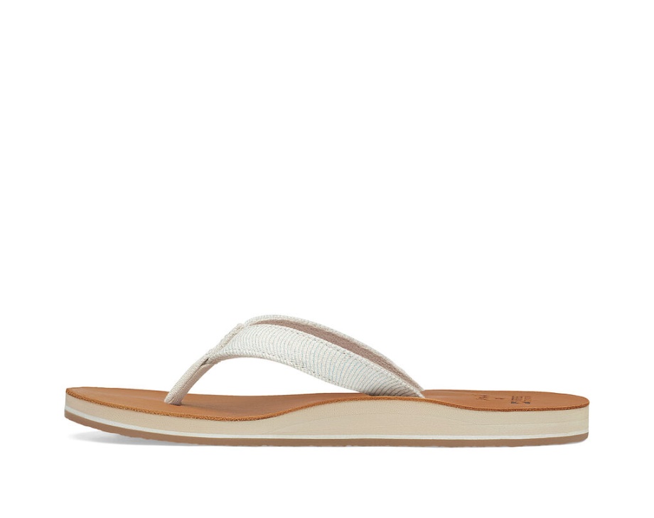 サヌーク ハッピー プレーサー セント サーフライダー アクア ウェーブ