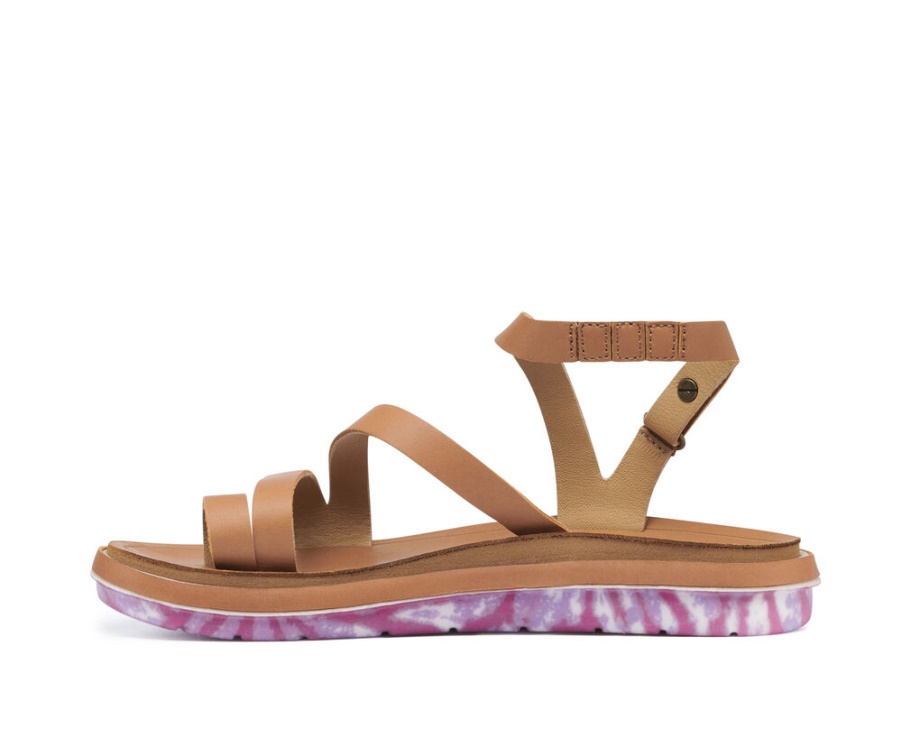 サヌーク バゾン サステナソール X サンクスデッド ナチュラル