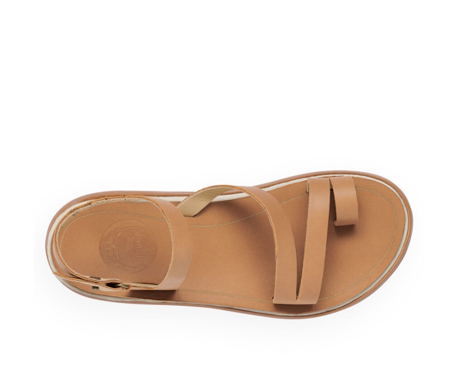 サヌーク バゾン サステナソール X サンクスデッド ナチュラル