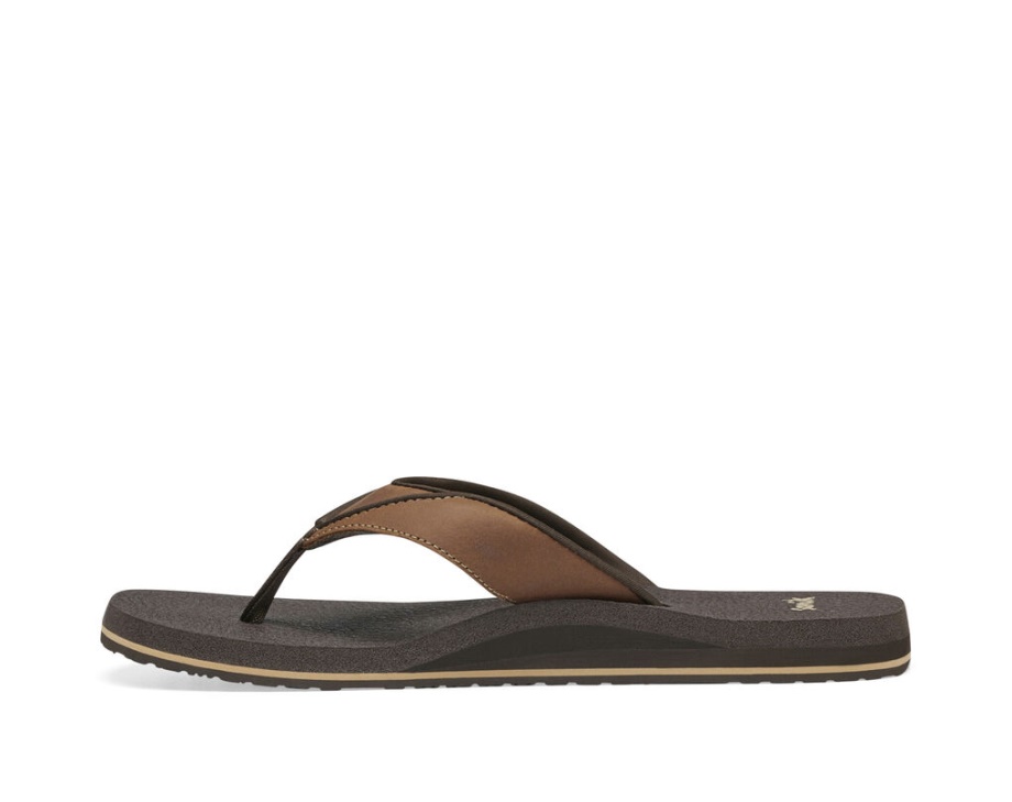 サヌークビール コージー プリモブラウン