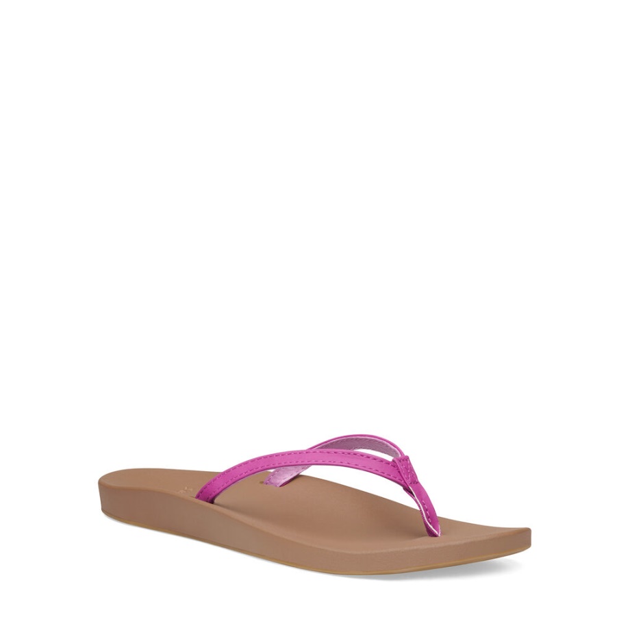 サヌク コスミック ヨガ ジョイ フェスティバル フクシア